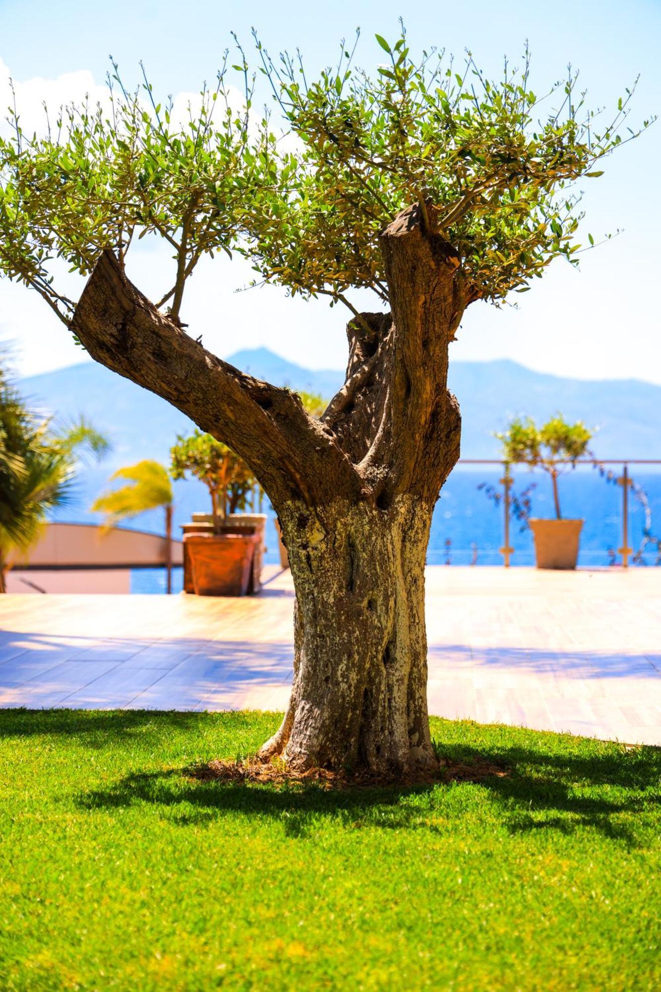 Hotel Apollon Sarande (Adults Only) 외부 사진